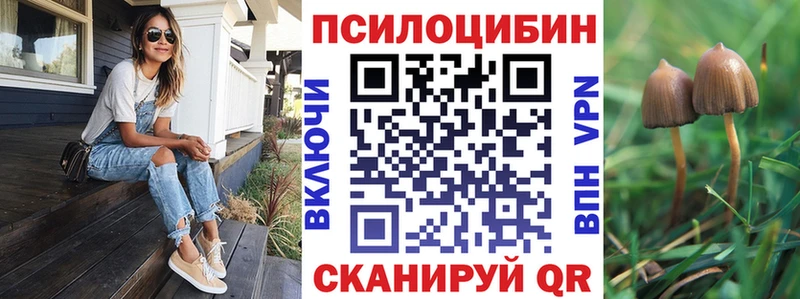 Галлюциногенные грибы GOLDEN TEACHER  Сосновка 